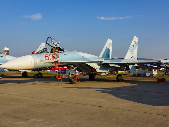 Как выбрать авиакомпанию для перелета с животным